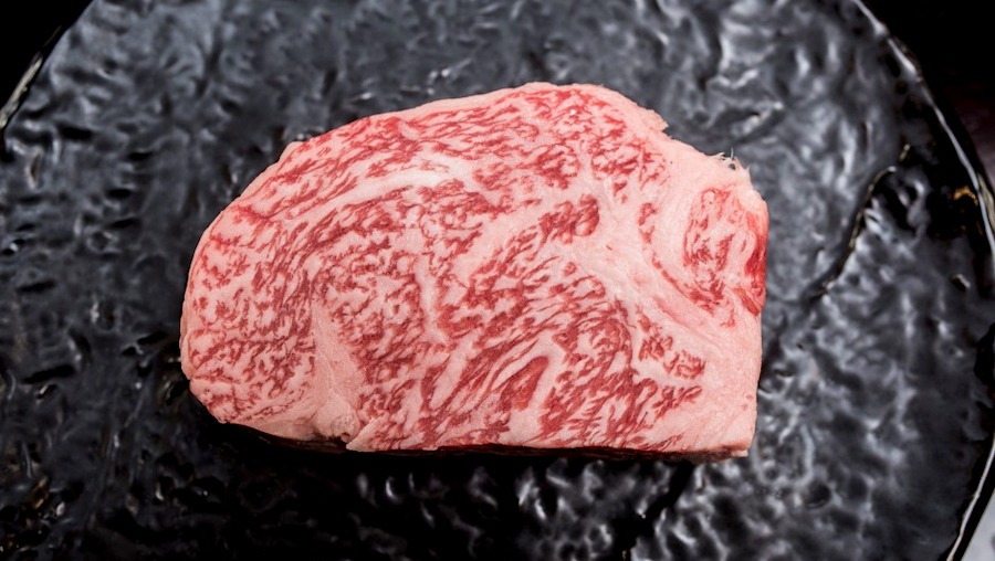 wagyu