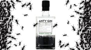 anty-gin