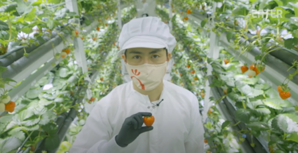 oishii-farma