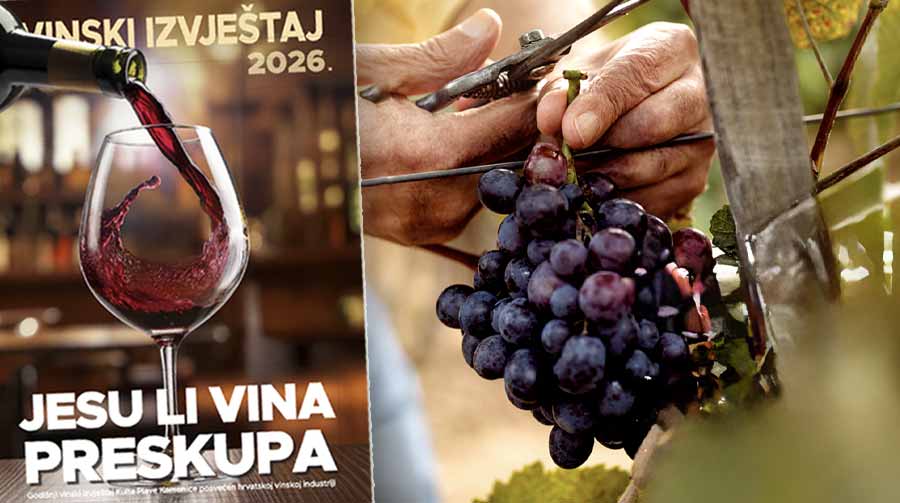 Vinski-izvjestaj-2026-tonkovic