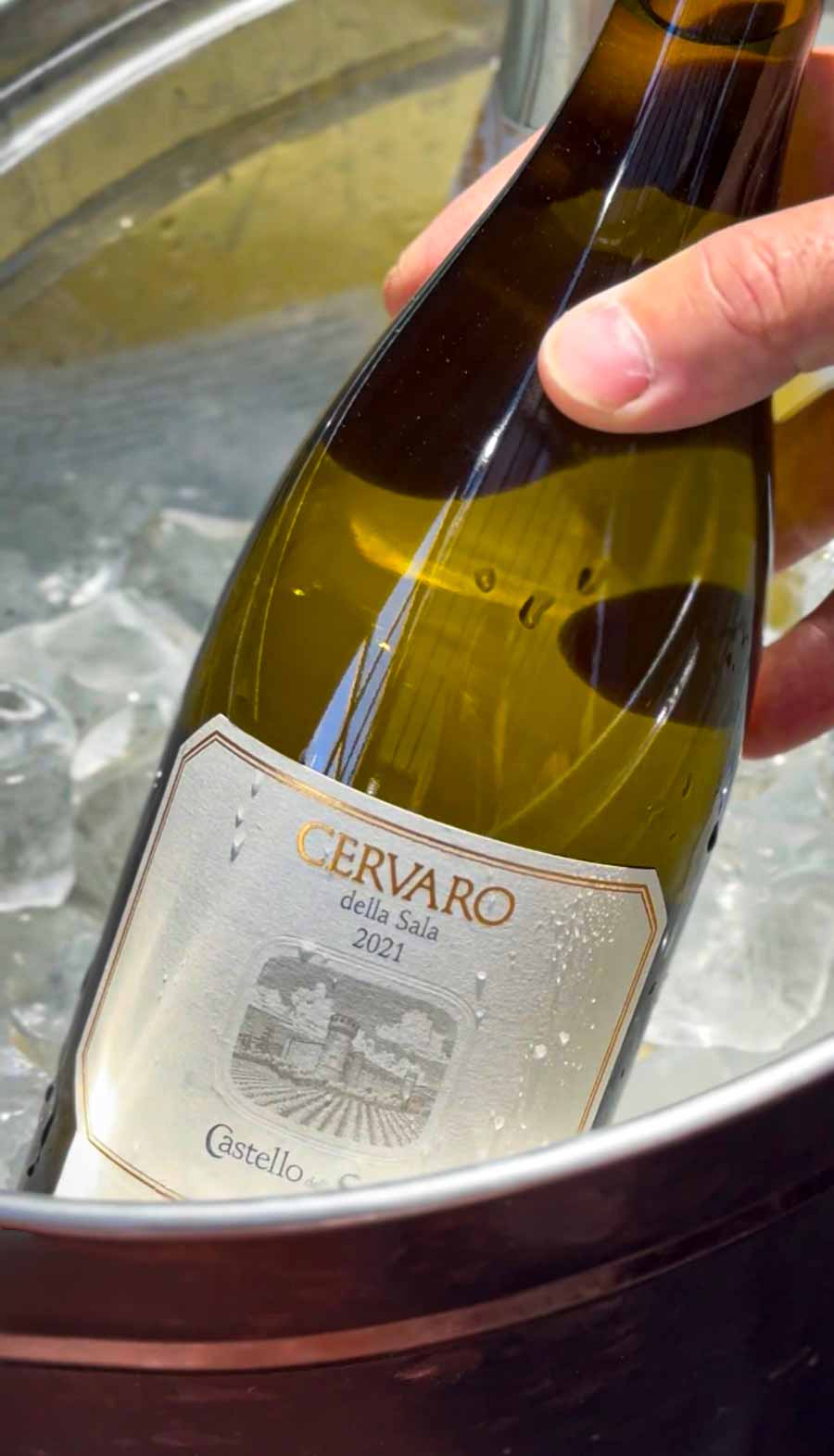 antinori-masterclass-san-canzian-cervaro