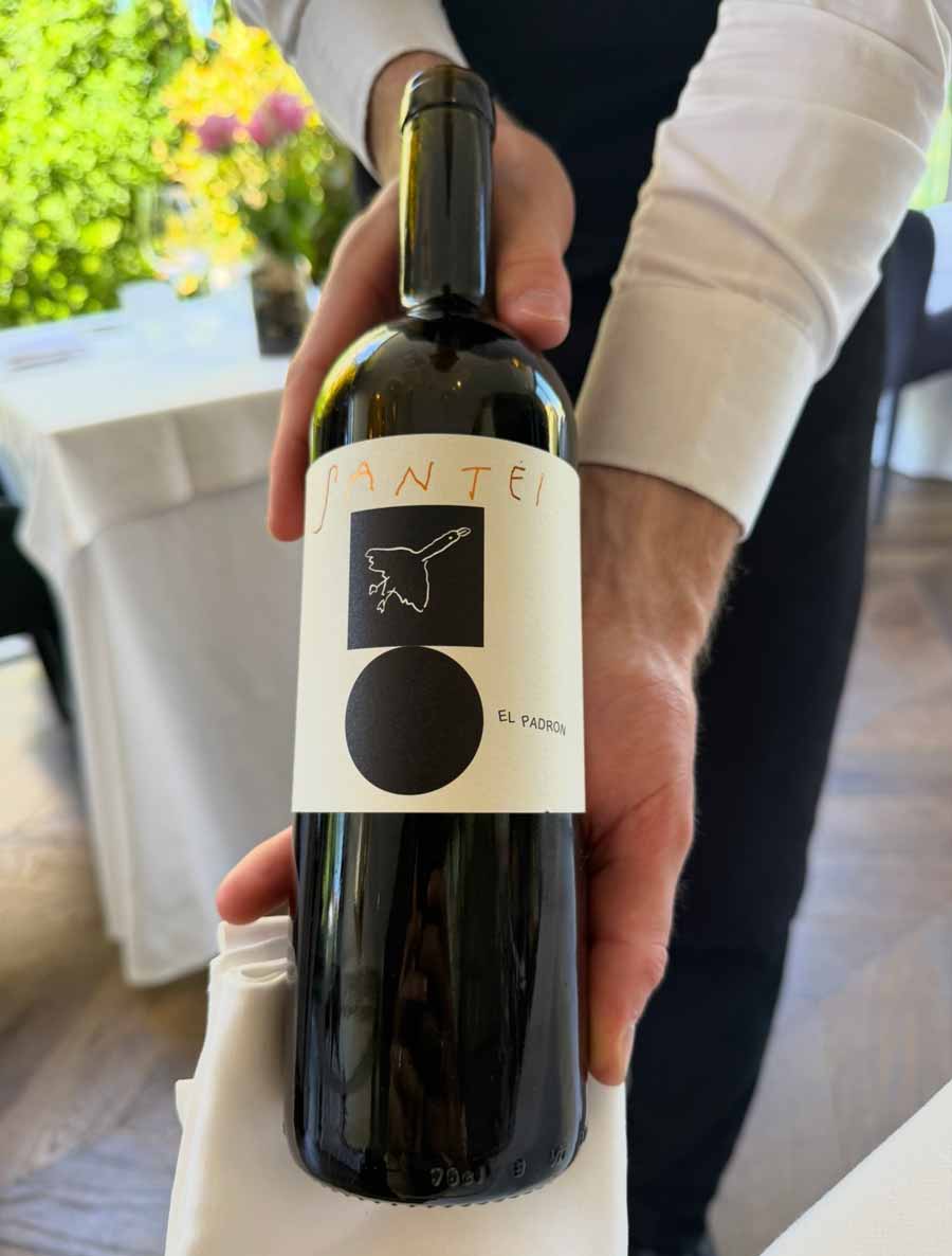 debeluh-vino