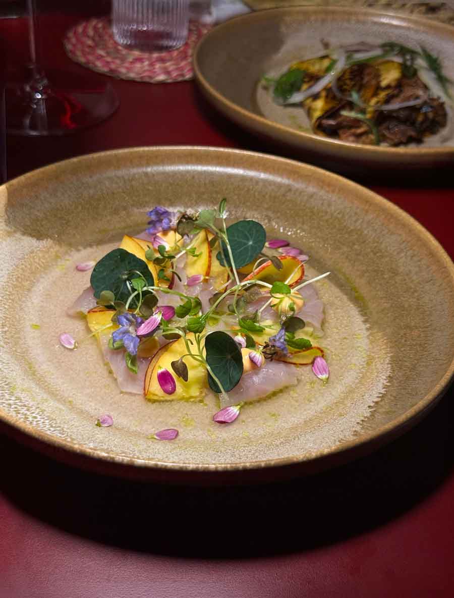 noel-street-ceviche
