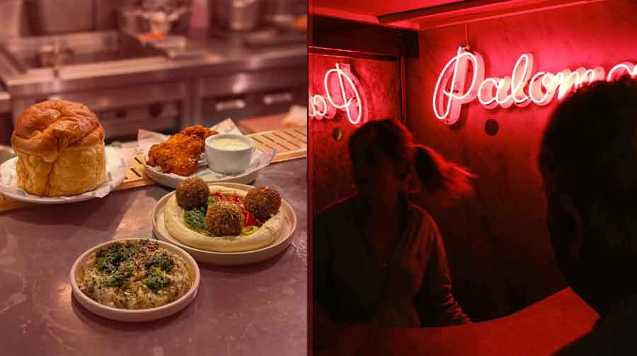 palomar-london
