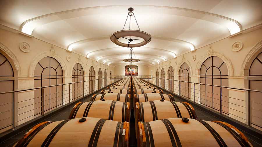 chateau-pavie-podrum
