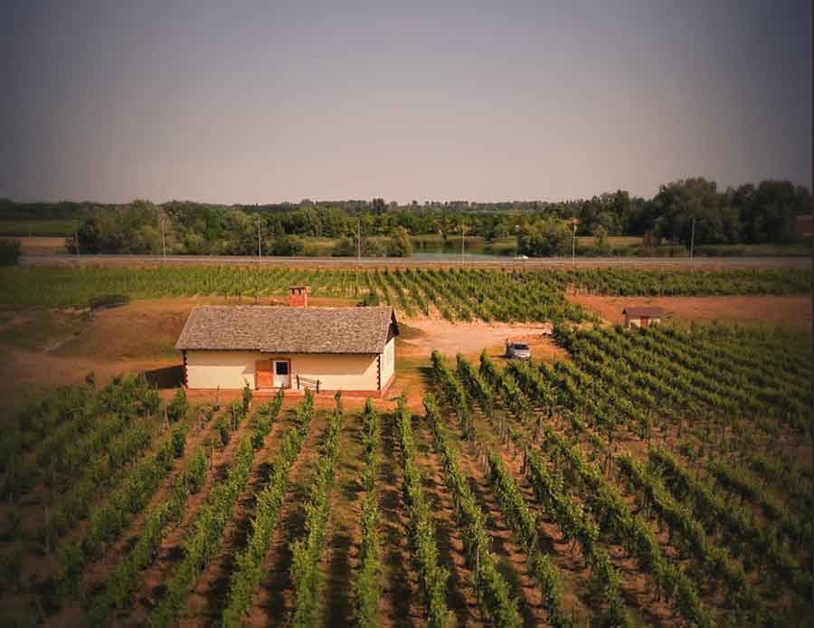tonkovic-vinarija