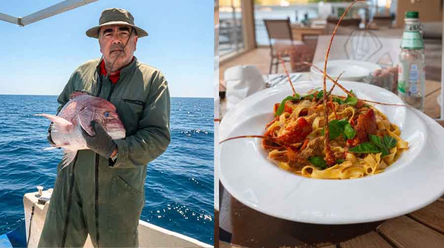 BRODOM PREMA JUGU Glasoviti enolog Slaven Jeličić izvješćuje o neodoljivom šarmu gastronomije na Mljetu