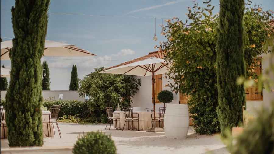 Restoran vinarije Bibich i dalje je jedan od najspektakularnijih u Dalmaciji. Tuna u soli je čista petica
