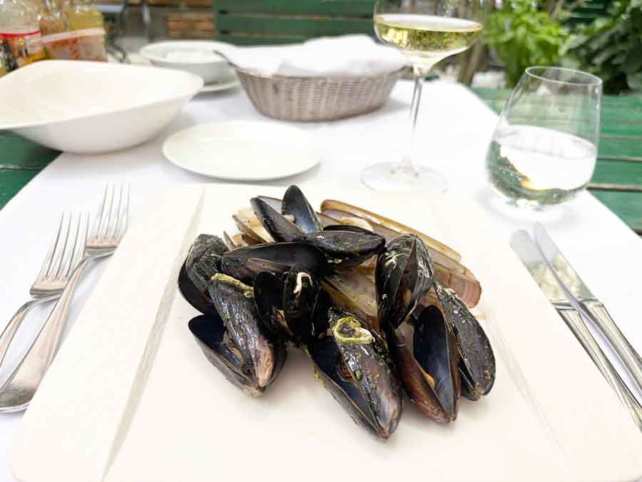 gallo-skoljke