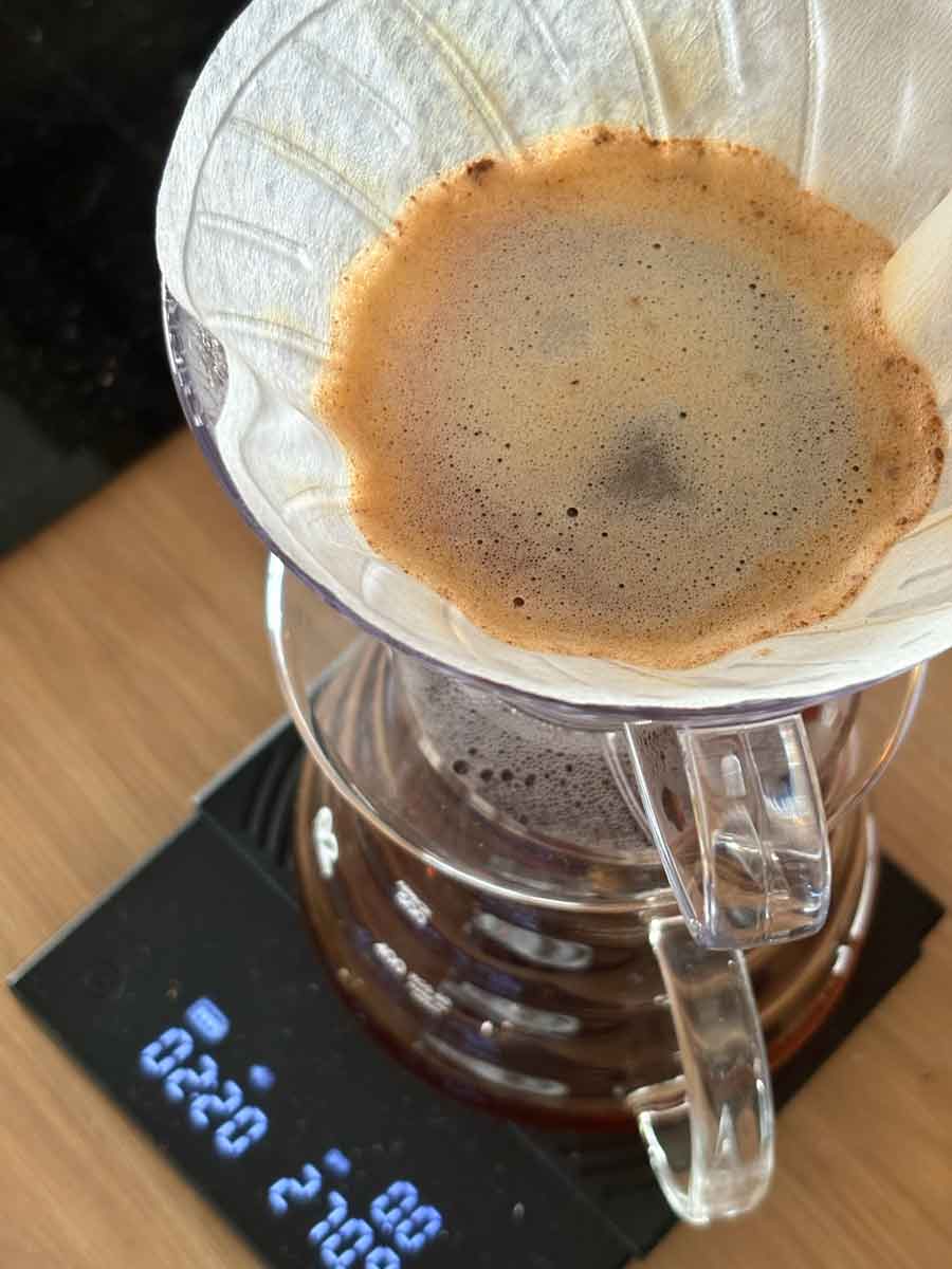 la-cabra-v-60